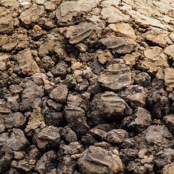 Dry agricultural brown soil detail natural background