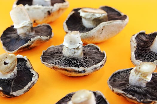 button mushrooms, champignons on orange background.