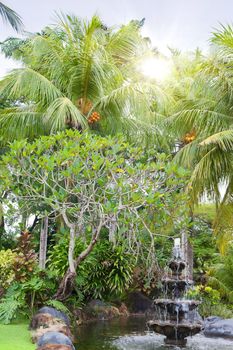 fountain under palm trees in a tropical garden