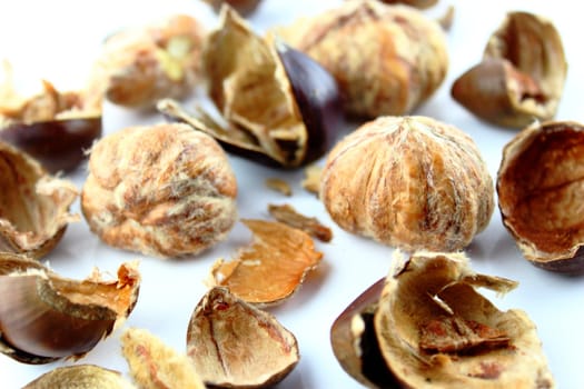Sweet chestnuts with peels on white background.