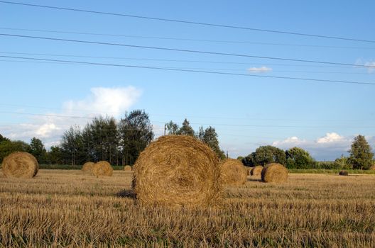 straw bales in harvested agricultural field and blue cloudy sky in autumn.