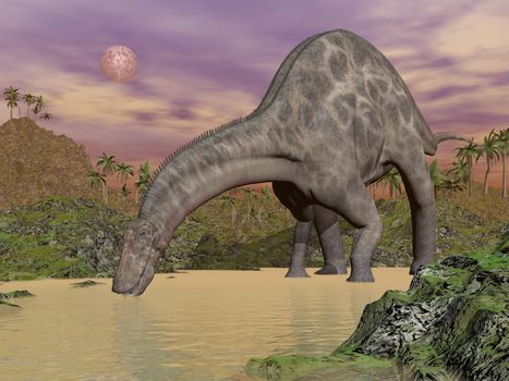 One dicraeosaurus dinosaur drinking water in prehistoric landscape by night