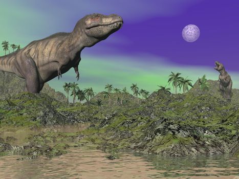 Tyrannosaurus dinosaurs in prehistoric landscape by night