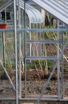 Glasshouses on an allotment, one seen through another