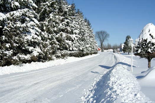 Road in winter on a sunny day