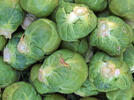 Close-up of brussel sprouts.