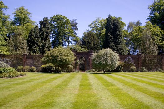 A walled garden with a beautiful lawn. With room for copyspace