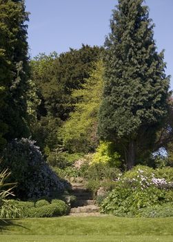 A path through a verdant garden with steps