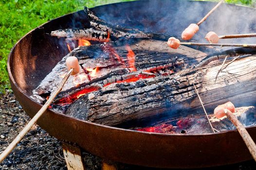 Sausages on stick cooking over bonfire
