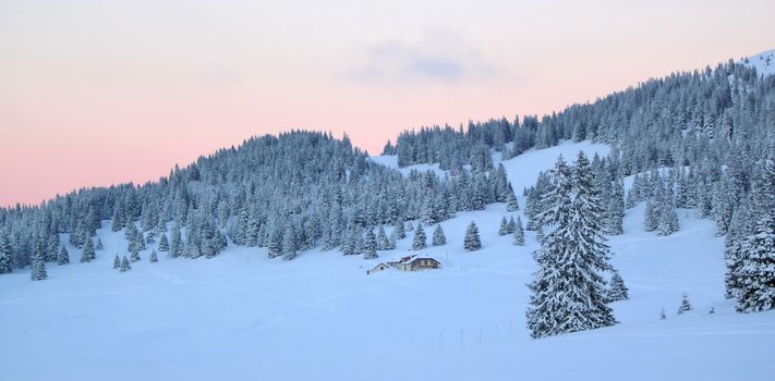 Beautiful fir trees covered with snow next to a little house in the Jura mountain by winter sunset, Switzerland