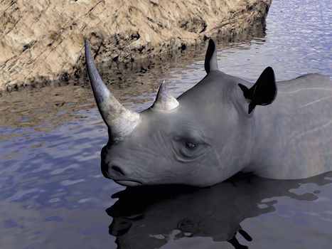 Close up on a rhinoceros having bath next to the ground