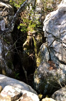 Boulders and woods
