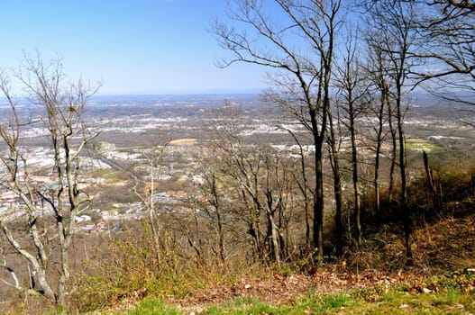 Chattanooga through the trees