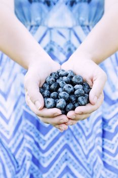Woman offers freshly picked blueberries. Shallow depth of field.