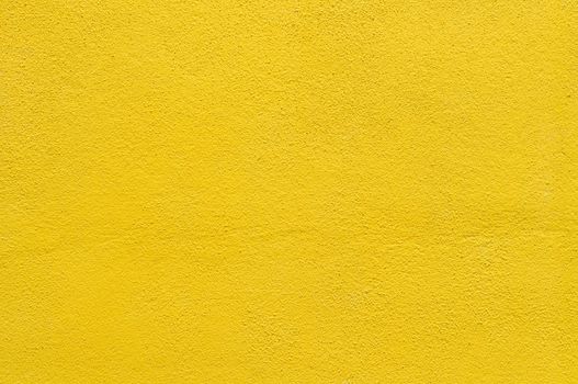 yellow wall background, under a sunny day.