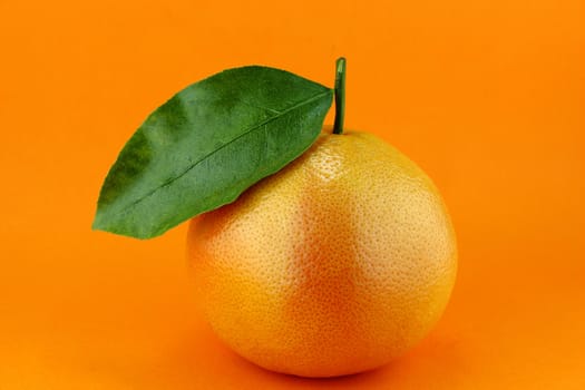Ripe appetizing grapefruit with leaf on orange background.