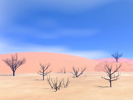 Dead trees in a sand desert by hot day