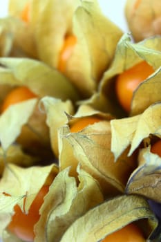 Cape gooseberry, physalis isolated on white background.