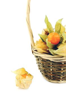 Cape gooseberry, physalis in basket isolated on white background.