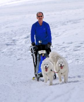 PLATEAU MOSSES - LA LECHERETTE - MARCH 10 : international race sled dogs on March 10, 2013 at plateau Mosses - La Lecherette, Switzerland.