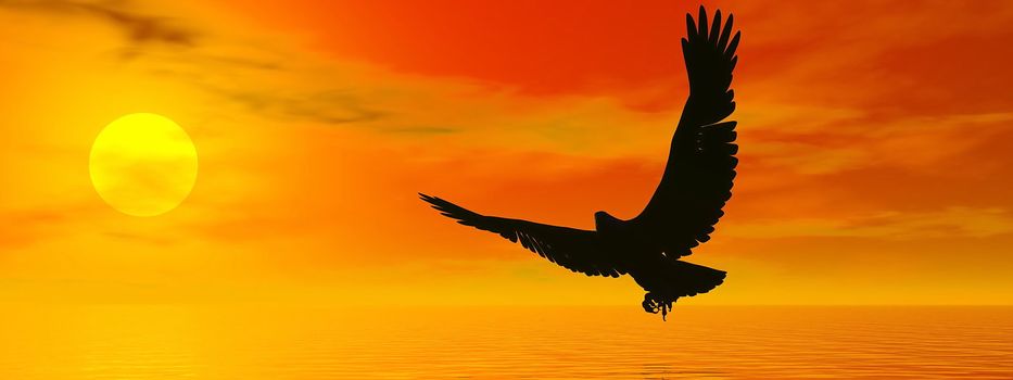 Shadow of an eagle flying to the sun by red sunset over the ocean