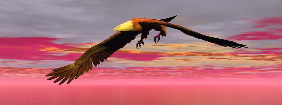 Beautiful eagle flying by cloudy sunset