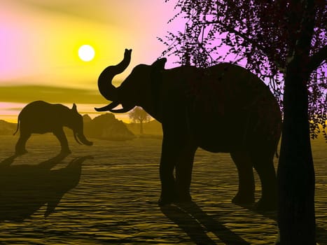 Shadow of two elephants standing in the savannah by sunset