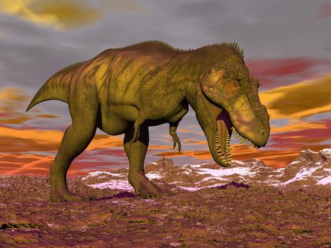 Agressive tyrannosaurus dinosaur walking in the desert by orange cloudy winter day with its mouth open showing his teeth