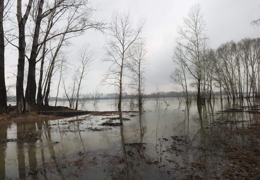 Flood on the river Tom', Russia, Siberia, Kuzbass 