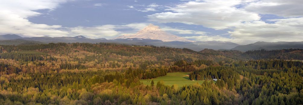 Mount Hood Over Sandy River Valley with Blue Sky and White Clouds Panorama