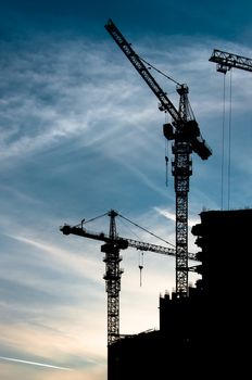 Cranes silhouettes and cloudy sky when sun goes down