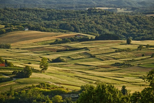 Idyllic green valley natural scenery