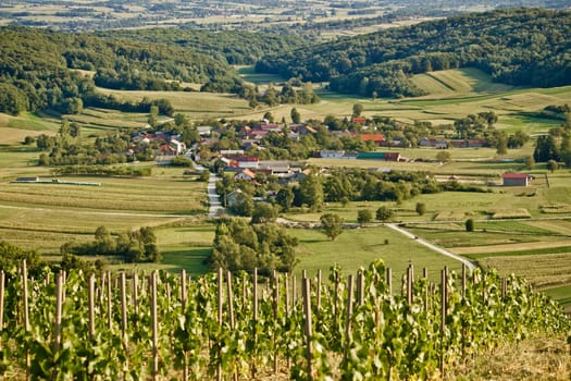 Village in green natural scenery under vineyard hill, Kalnik, Croatia