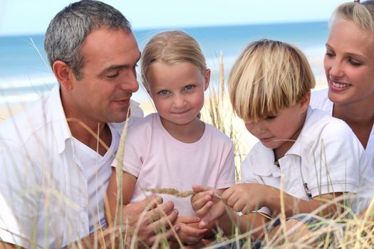 Young family at the beach