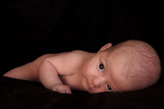 Newborn 1 month on a black background
