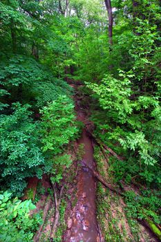 Small stream through the lush forests of Mississippi Palisades State Park in Illinois.