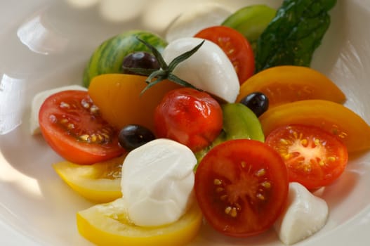 Image of tomato salad with buffalo mozzerella