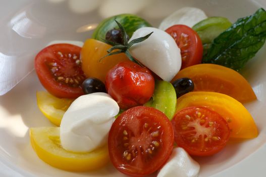 Image of tomato salad with buffalo mozzerella