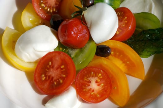 Image of tomato salad with buffalo mozzerella