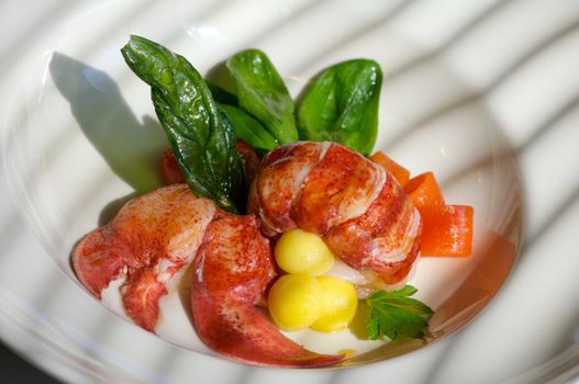 Image of lobster dish with spinach garnish