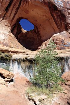 vertical view famous Bowtie Arch, USA