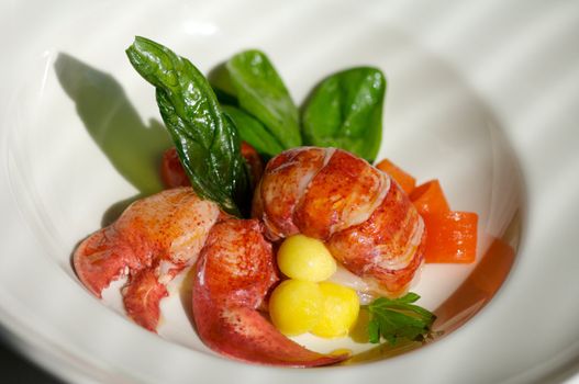 Image of lobster dish with spinach garnish