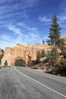 vertical view of Road to Bryce Canyon National Park through tunnel, vertical view