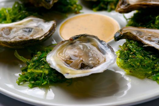 Image of oysters on garnish with sauce