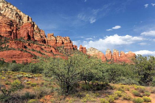 Dusk approaching in the wilderness landscape , Sedona