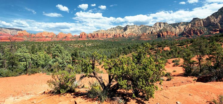 panoramic view of famous wilderness landscape near Sedona, Arizona