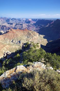 vertical view o fGrand Canyon under sunlight, USA
