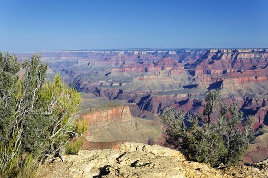 landscape of famous Grand Canyon