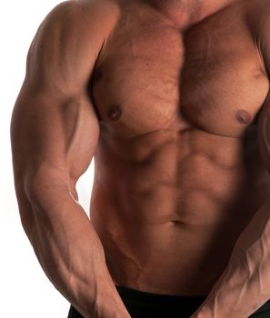 Muscular male torso of bodybuilder on white background