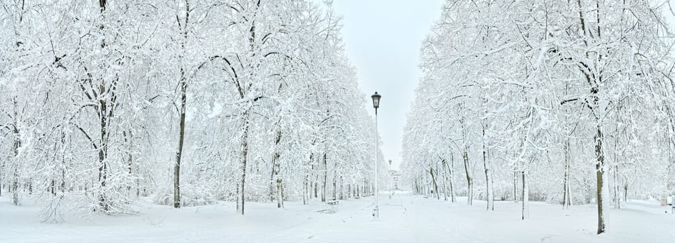 Main entrance to park in Warsaw. Very wide winter panoramic view.